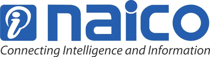 Naico Information Technology Services